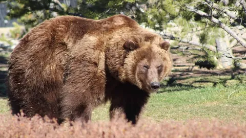 中超第3轮5场激战，申花泰山逆风翻盘勇夺头筹