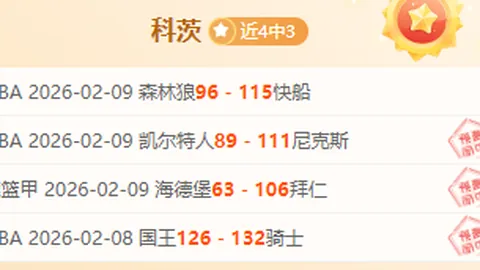 “2025年欧洲杯赛事场馆导览手册”